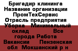 Бригадир клининга › Название организации ­ ПромТехСервис › Отрасль предприятия ­ Уборка › Минимальный оклад ­ 30 000 - Все города Работа » Вакансии   . Пензенская обл.,Мокшанский р-н